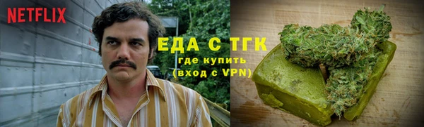 крисы Мегион