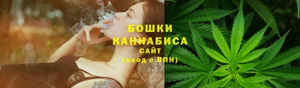 крисы Мегион