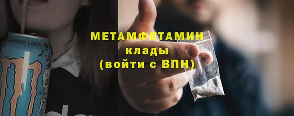 крисы Мегион