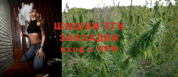 крисы Мегион
