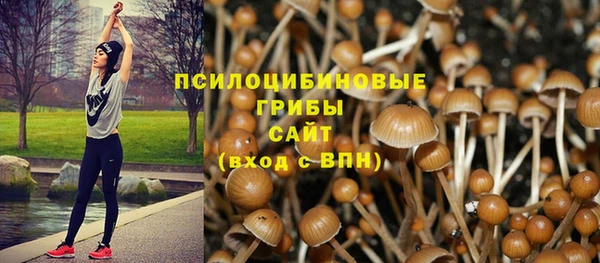 Альфа ПВП Медвежьегорск