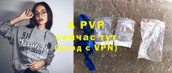крисы Мегион