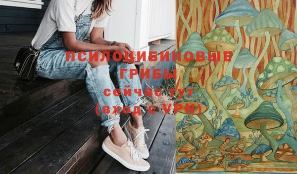 таблы Михайлов