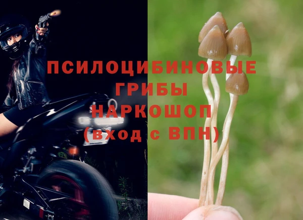 таблы Михайлов