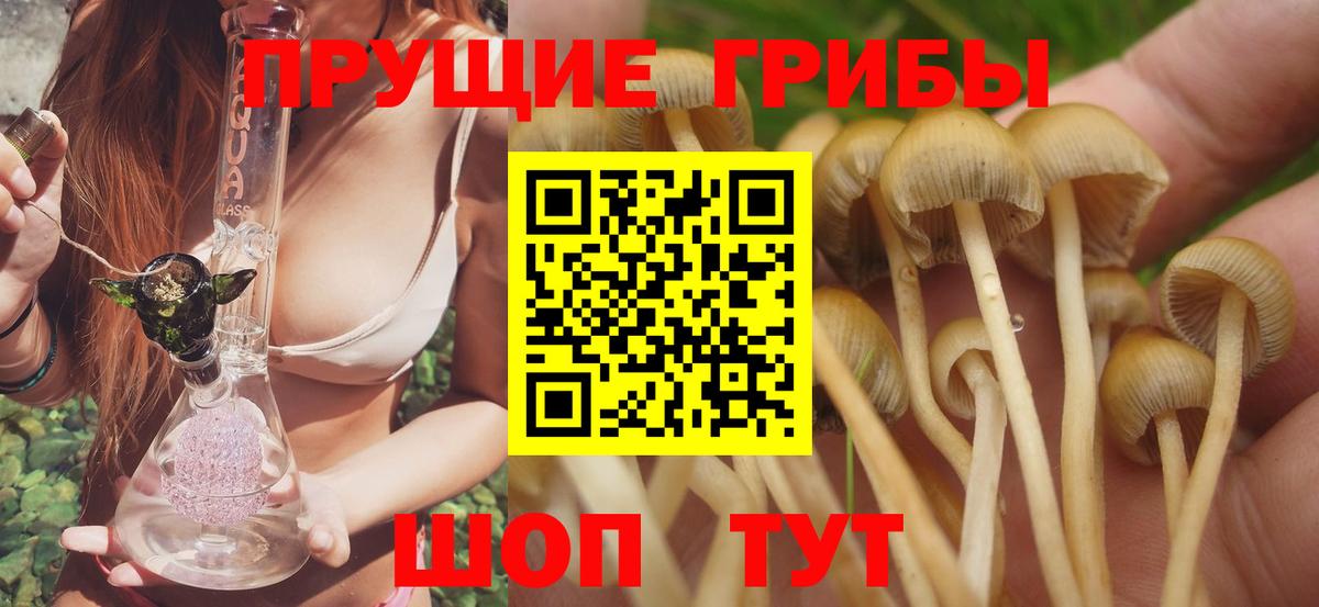 Владикавказ  Псилоцибиновые грибы прущие грибы  Галлюциногенные грибы прущие грибы  наркотики  Вход с VPN 